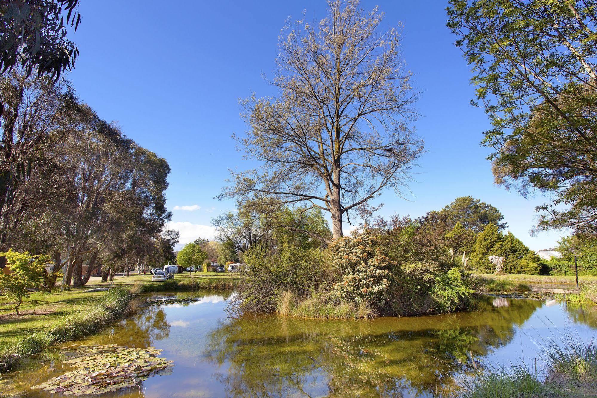 Armidale Tourist Park Hotel Екстериор снимка